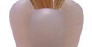 Phương pháp sử dụng tăm xỉa răng 