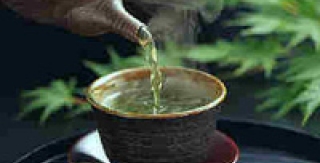 Trà xanh giúp ngăn ngừa bệnh răng miệng