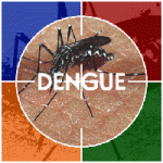 Sự nguy hiểm của SXH Dengue ở người lớn