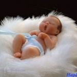 Khai thác tế bào gốc từ răng sữa