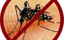 Phòng và diệt muỗi SXH: Những ngộ nhận cần tránh!