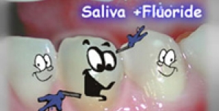 Báo Động Bệnh Răng