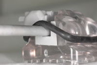 mac-cai-tham-my-thun