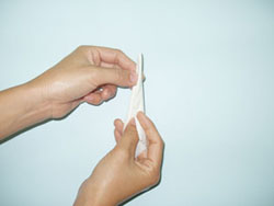 cach-lam-bac-sau-den